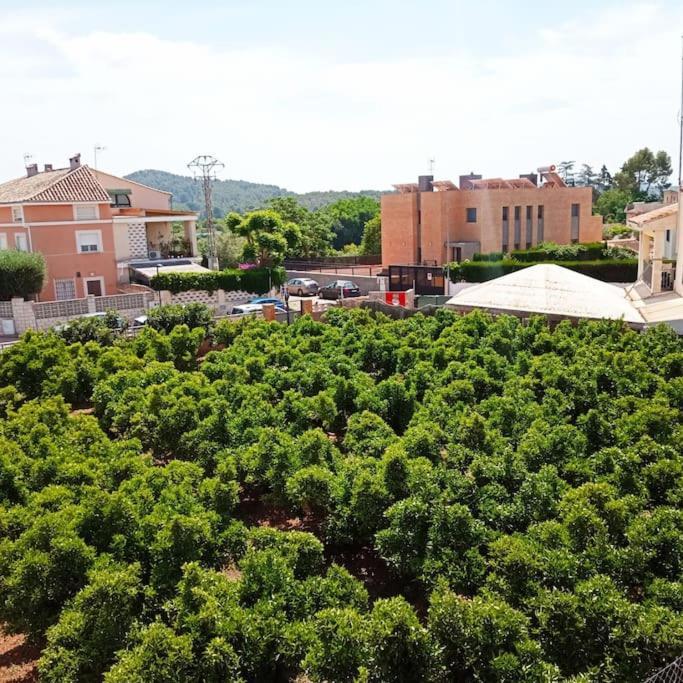 Piso Sierra Calderona A 15 Minutos Del Mar Estivella Apartment ภายนอก รูปภาพ