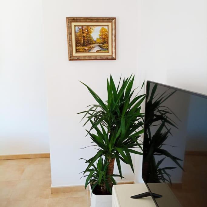 Piso Sierra Calderona A 15 Minutos Del Mar Estivella Apartment ภายนอก รูปภาพ